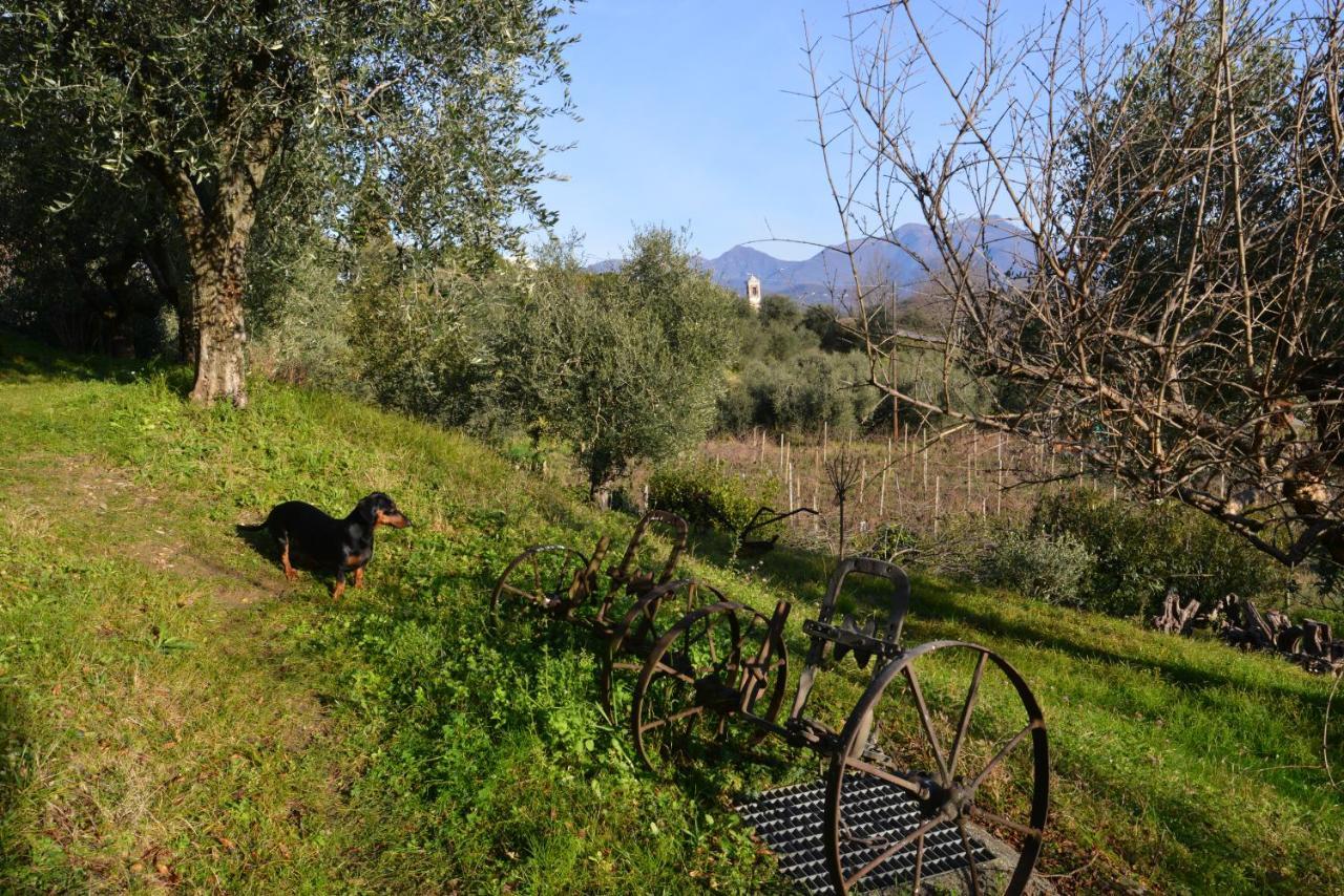 Apartamento Antiche Mura Casa Vacanze Puegnago sul Garda Exterior foto