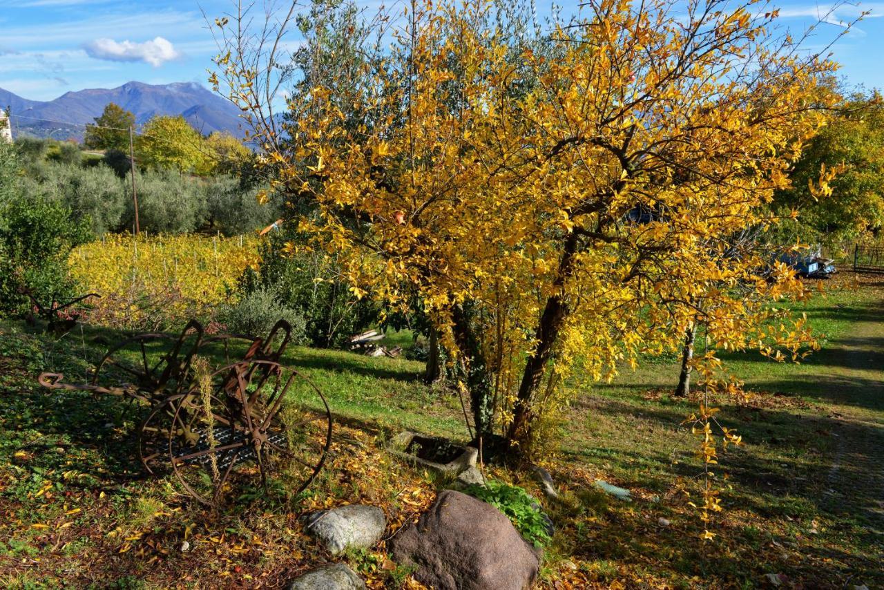 Apartamento Antiche Mura Casa Vacanze Puegnago sul Garda Exterior foto